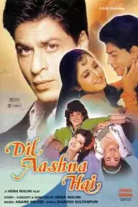 Dil Aashna Hai (The Heart Knows) (1992)