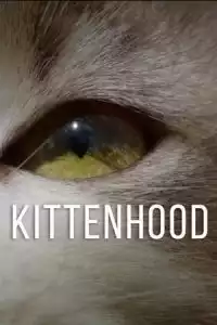 LK21 Nonton Kittenhood (2015) Film Subtitle Indonesia Streaming Movie Download Gratis Online
